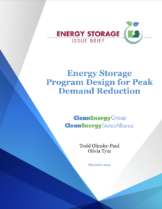 Energy Storage Program Design for Peak Demand Reduction